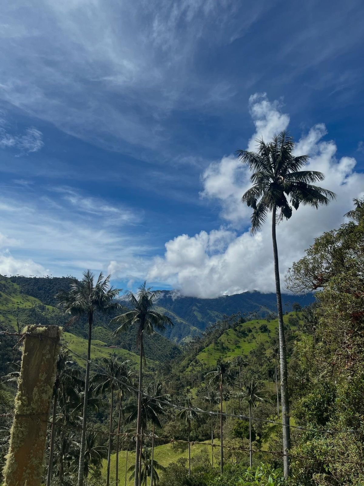 0ebae940 0a9c 4bc4 8ef7 5954f1bc22fc