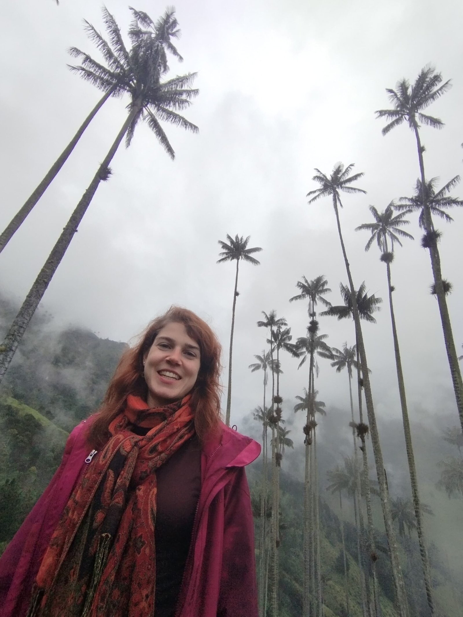 84253ed7 5d25 495b 8847 4285779f1080 scaled