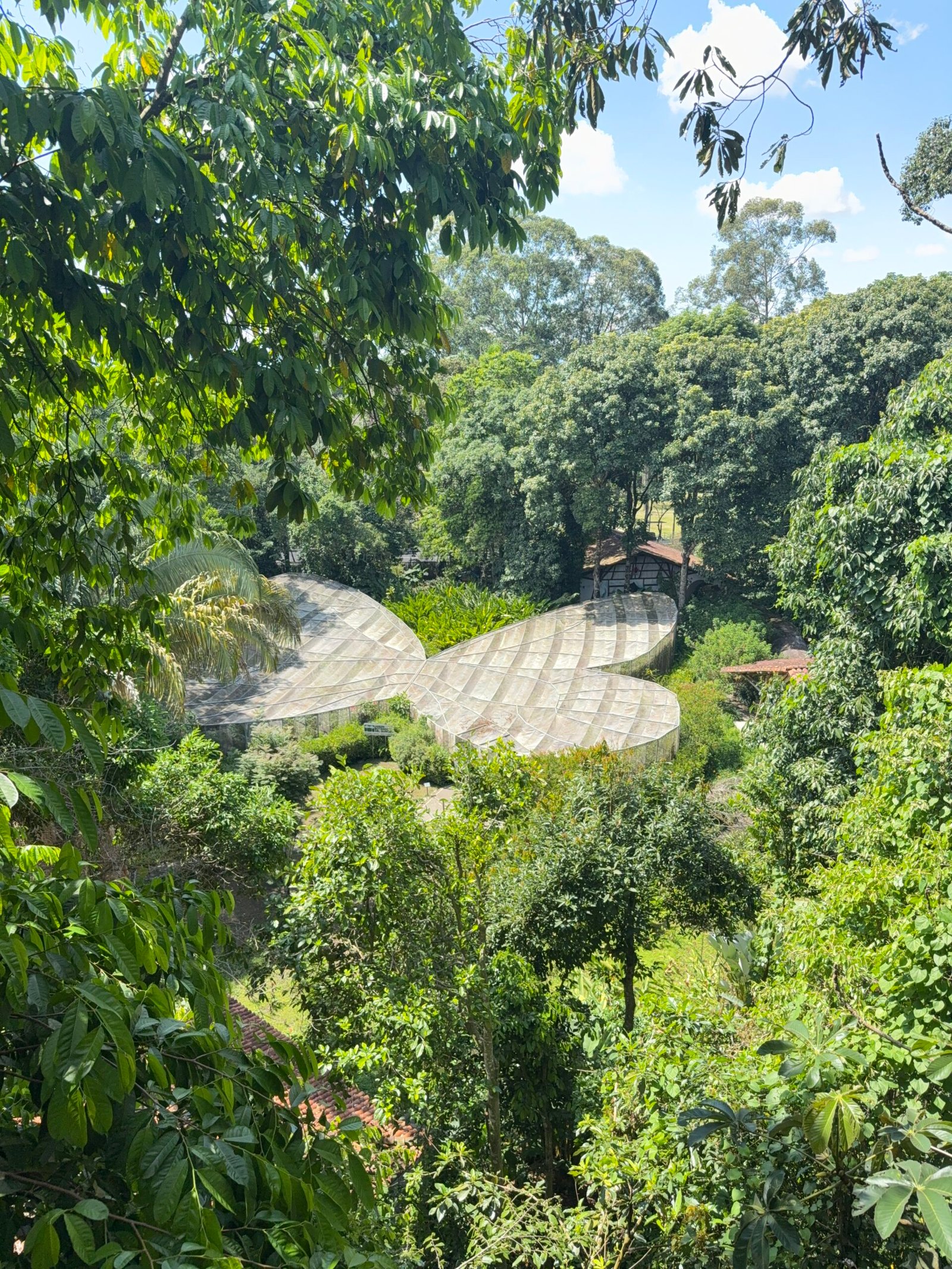 MiradoresQuindio2 scaled